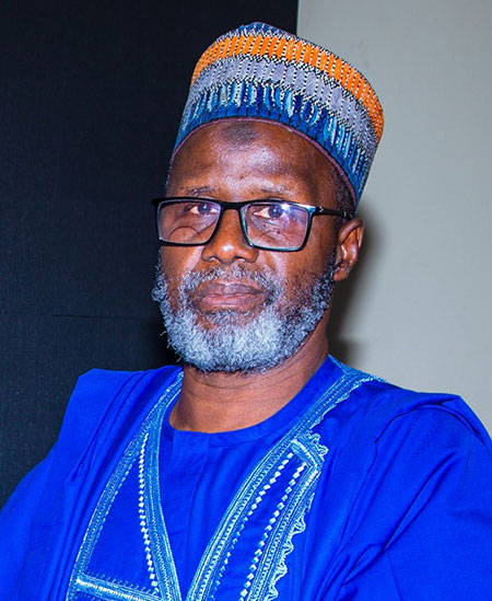 Prof. Sanusi Gaya Mohammed